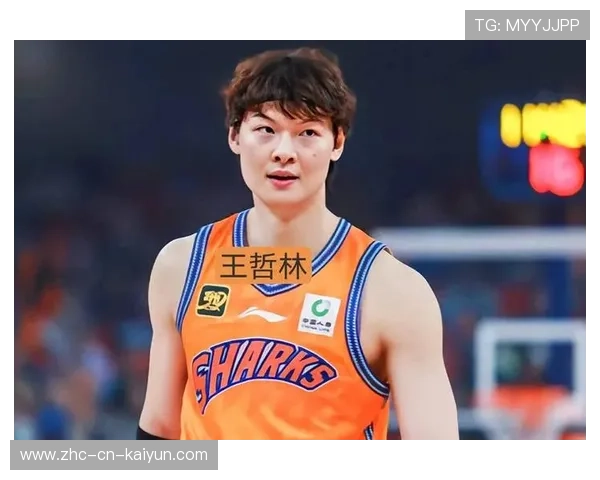 CBA王哲林力量与脚步训练同步提升,迈向巅峰的绝密秘籍